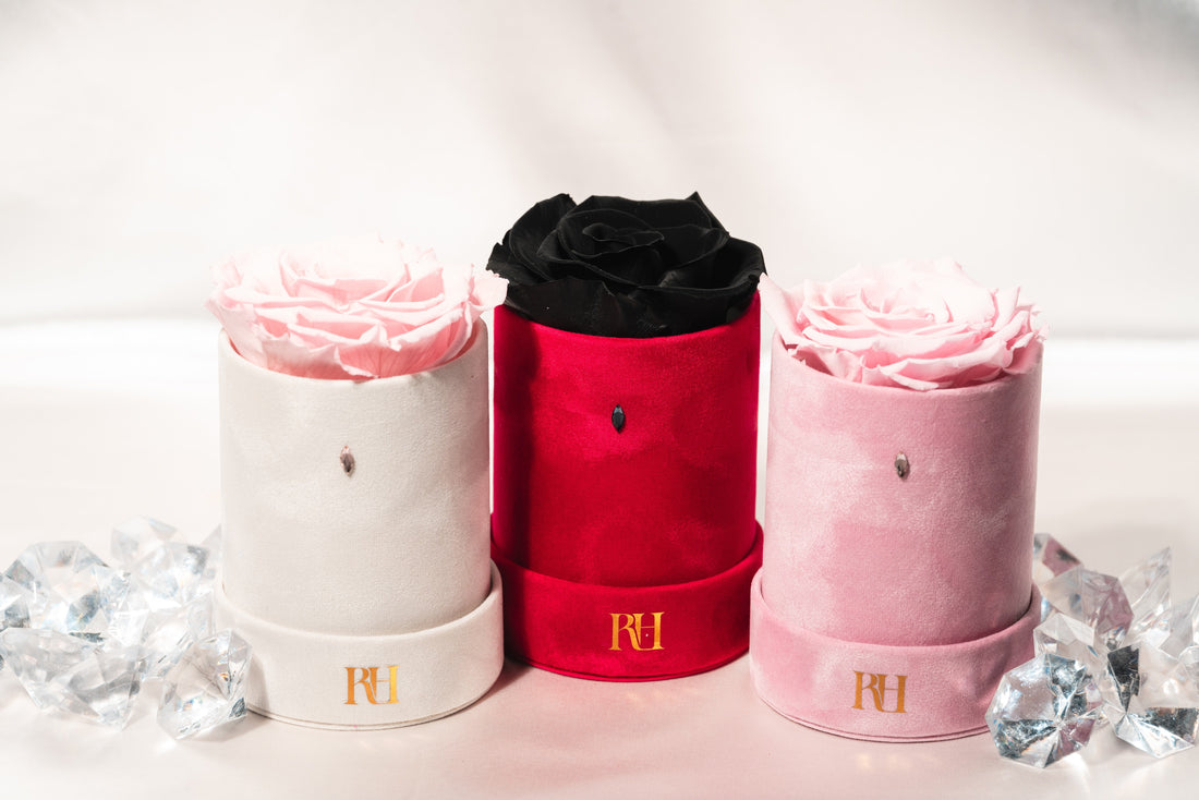 Signature Single Debut: When Ecuadorian Roses Meets the 'Navette' Crystal