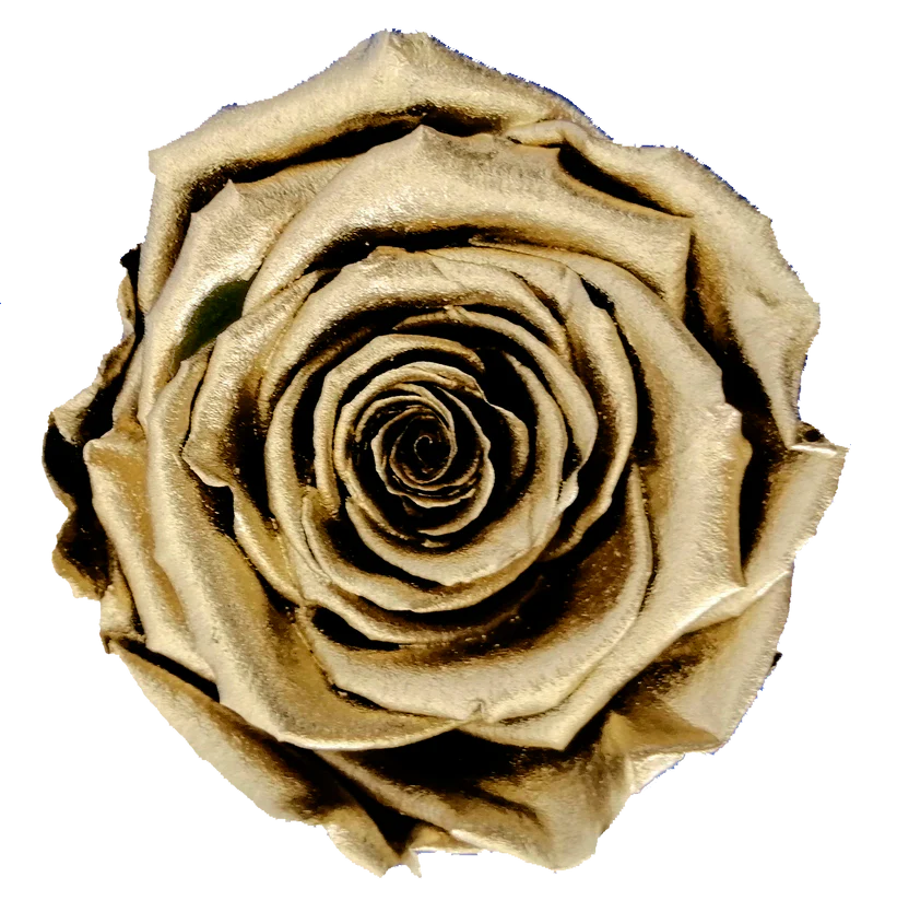 High Rim Stone Base 'Lavendar Crown' XL Ecuadorian Preserved Roses 24K Edition Luxury Centerpiece
