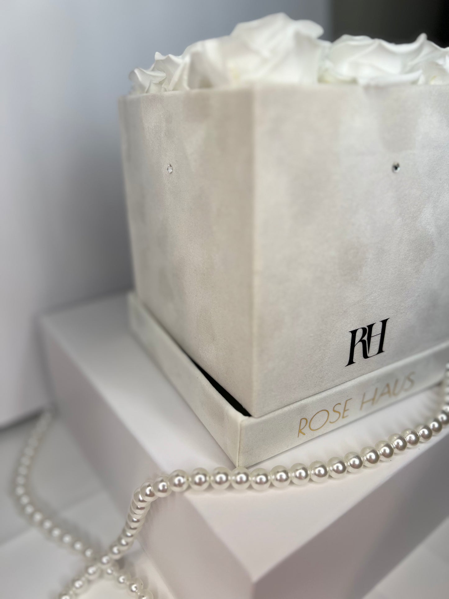 9 XL White Ecuadorian Preserved Roses in 6.5" Inch Ivory White Velvet Box w/ Swarovski Accent