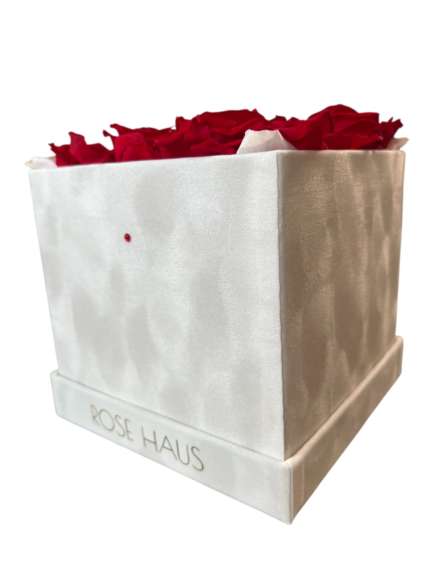 Five XL Preserved RED Ecuadorian Swarovski Element "Full Bloom" - Ivory White 6.75" x 6.75" Velvet Cube Box