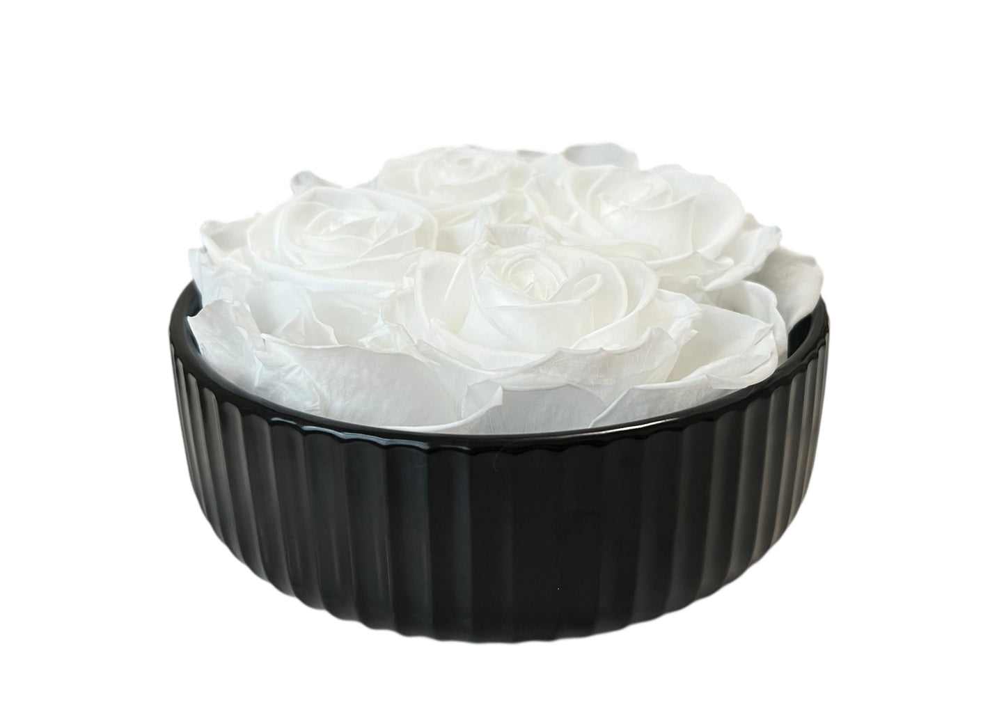 4 XL Ecuadorian Preserved Pure White Roses in a Black Ribbed Flower Pot 6.5' Inch Diameter