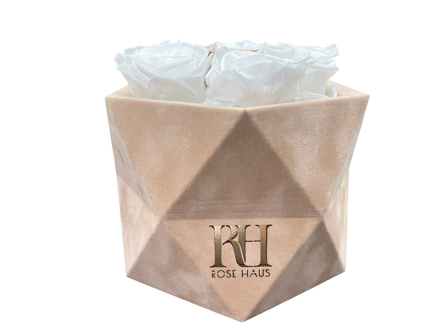 Prism 6 XL 24K Gold and White Ecuadorian Preserved Roses in 3D Prism Beige 6" x 7" Velvet Box