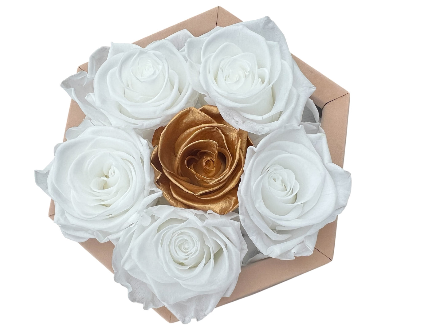 Prism 6 XL 24K Gold and White Ecuadorian Preserved Roses in 3D Prism Beige 6" x 7" Velvet Box