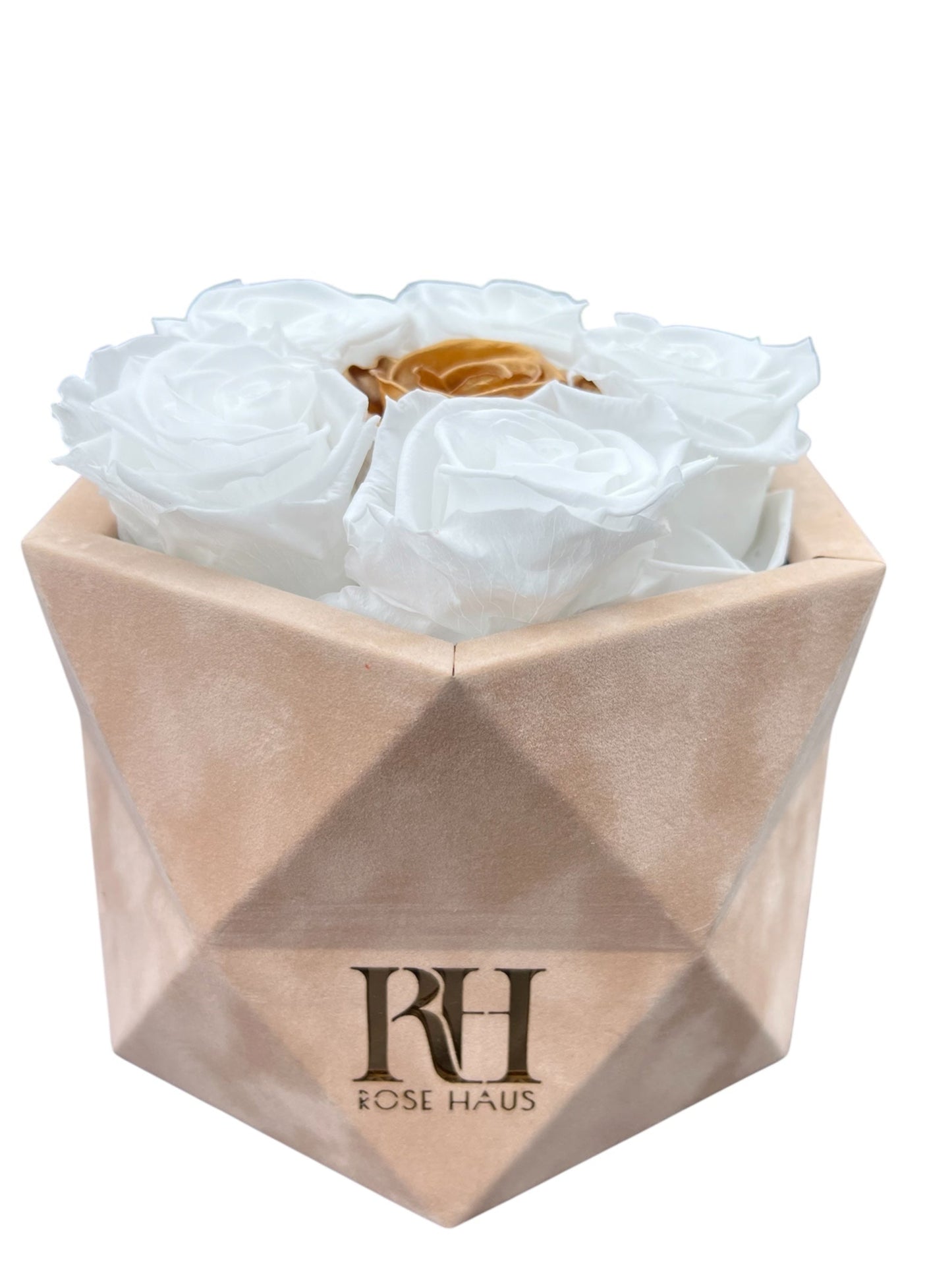 Prism 6 XL 24K Gold and White Ecuadorian Preserved Roses in 3D Prism Beige 6" x 7" Velvet Box