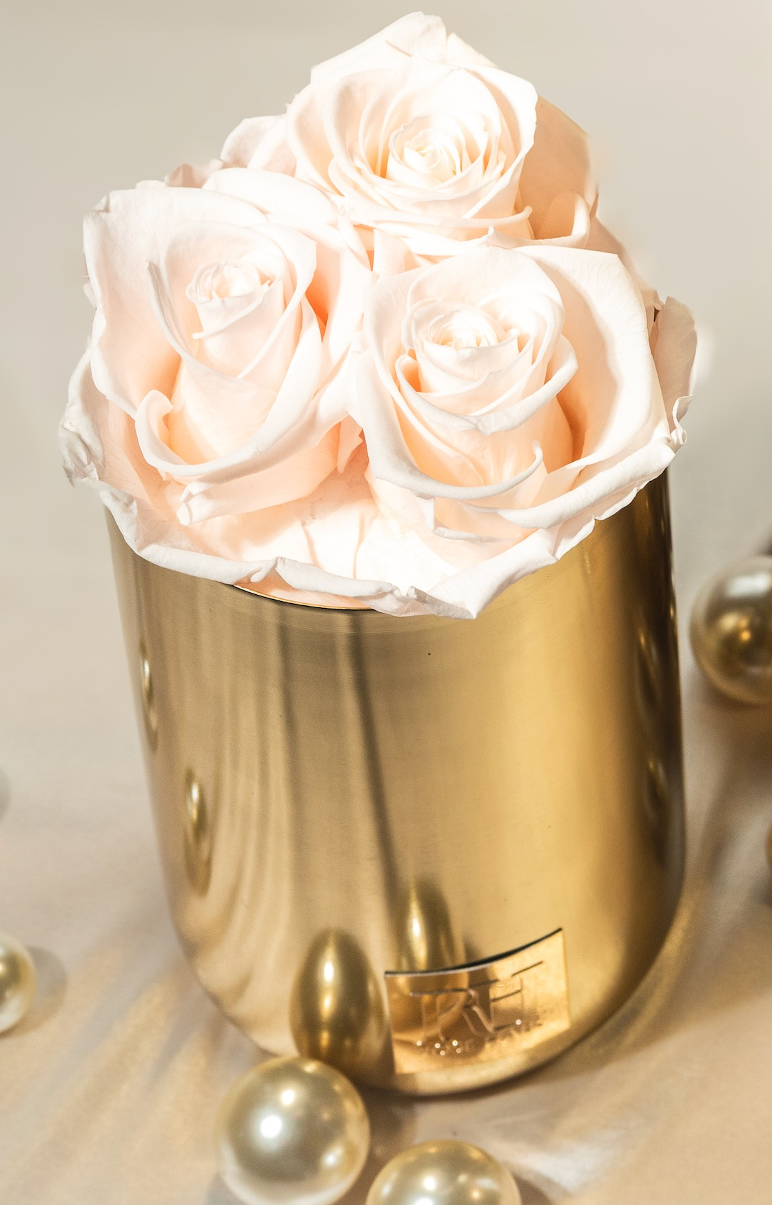 Gold Brass 7" Inch Vase Trio Blush Pink L Ecuadorian Preserved Roses - Metal Plate