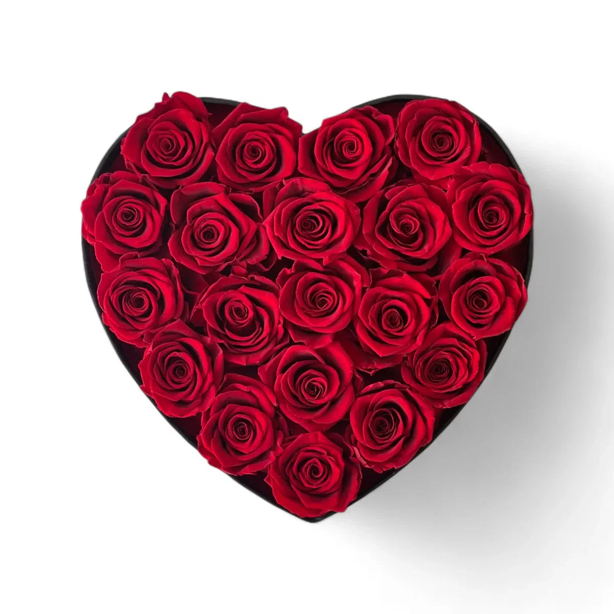 Rich Red Heart Box Ecuadorian Classic Preserved Roses 20CT