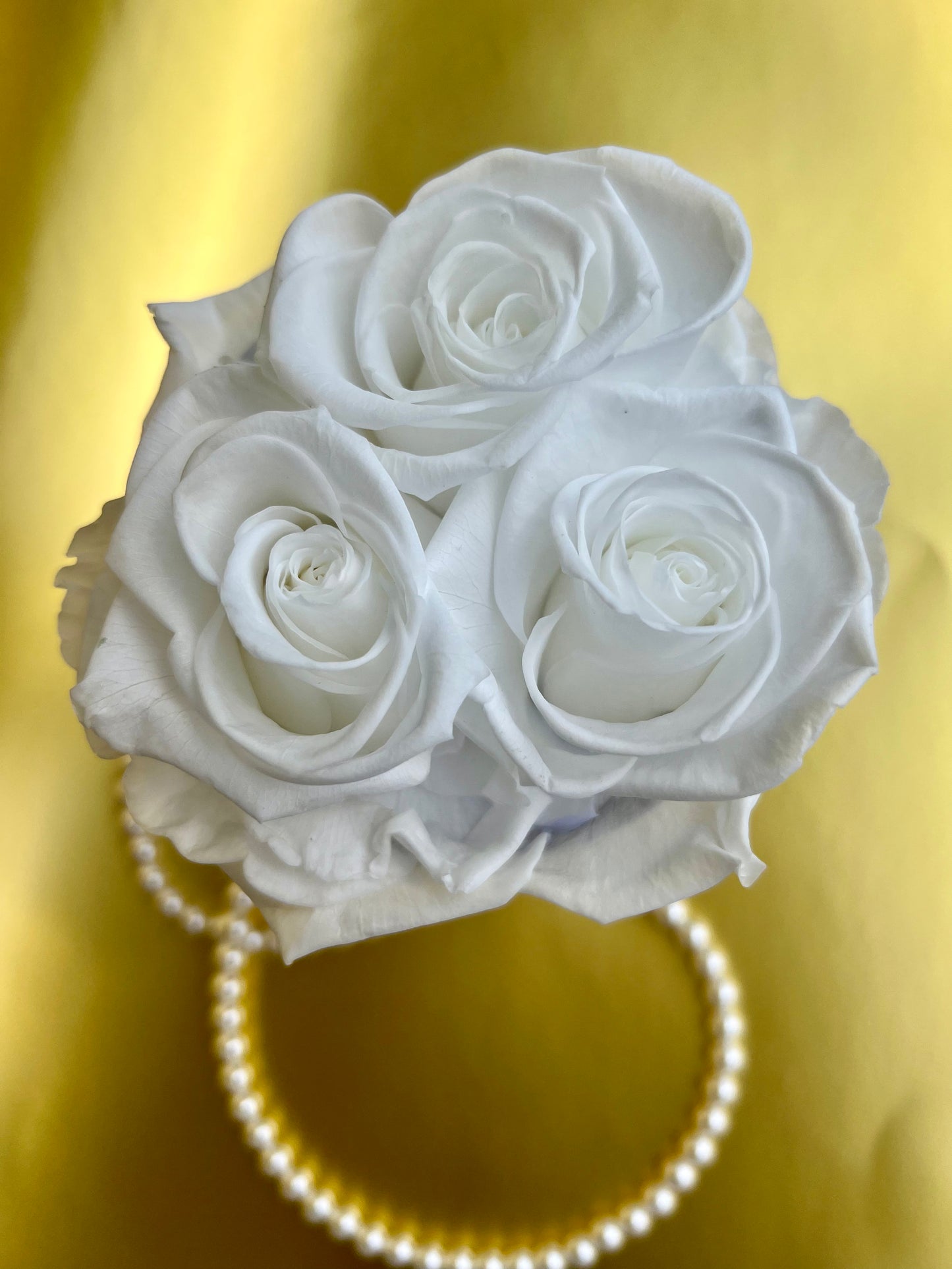 Brass 7" Inch Vase Trio Full Bloom Vibrant White L Ecuadorian Preserved Roses - White Logo Vinyl Decor