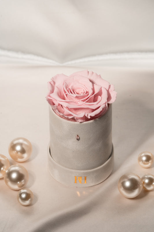 Signature Navette Crystal Single: Pink XXL Real Ecuadorian Preserved Rose in Mini 5" White Velvet Box