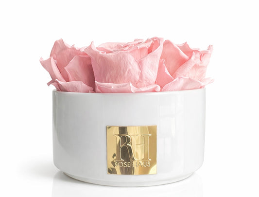 High Rim Stone Base 'Pink Crown' XL Ecuadorian Dusty Pink Preserved Roses 24K Edition Luxury Centerpiece
