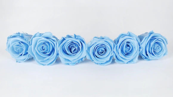 High Rim White Stone Base Light Blue L Ecuadorian Preserved Roses  Luxury Centerpiece