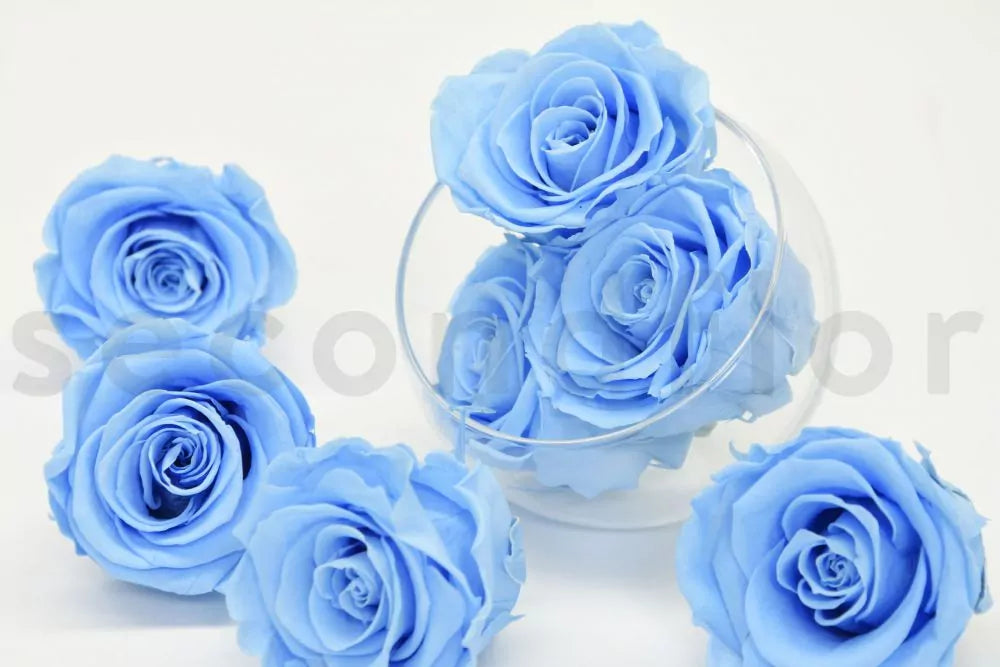 High Rim White Stone Base Light Blue L Ecuadorian Preserved Roses  Luxury Centerpiece