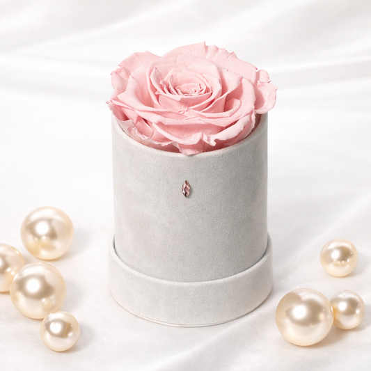 Swarovski ® Navette Crystal Single: Pink Ecuadorian Preserved Rose in Mini 5" White Velvet Box