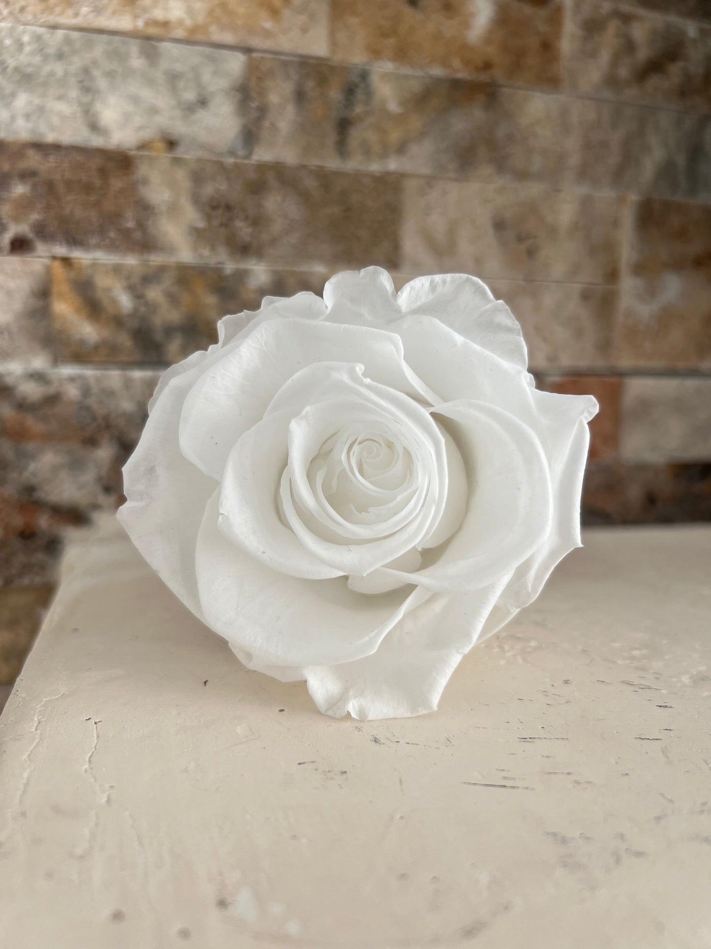 White Single Preserved Rose - 5" inch Marble Design Ceramic Mini Vase