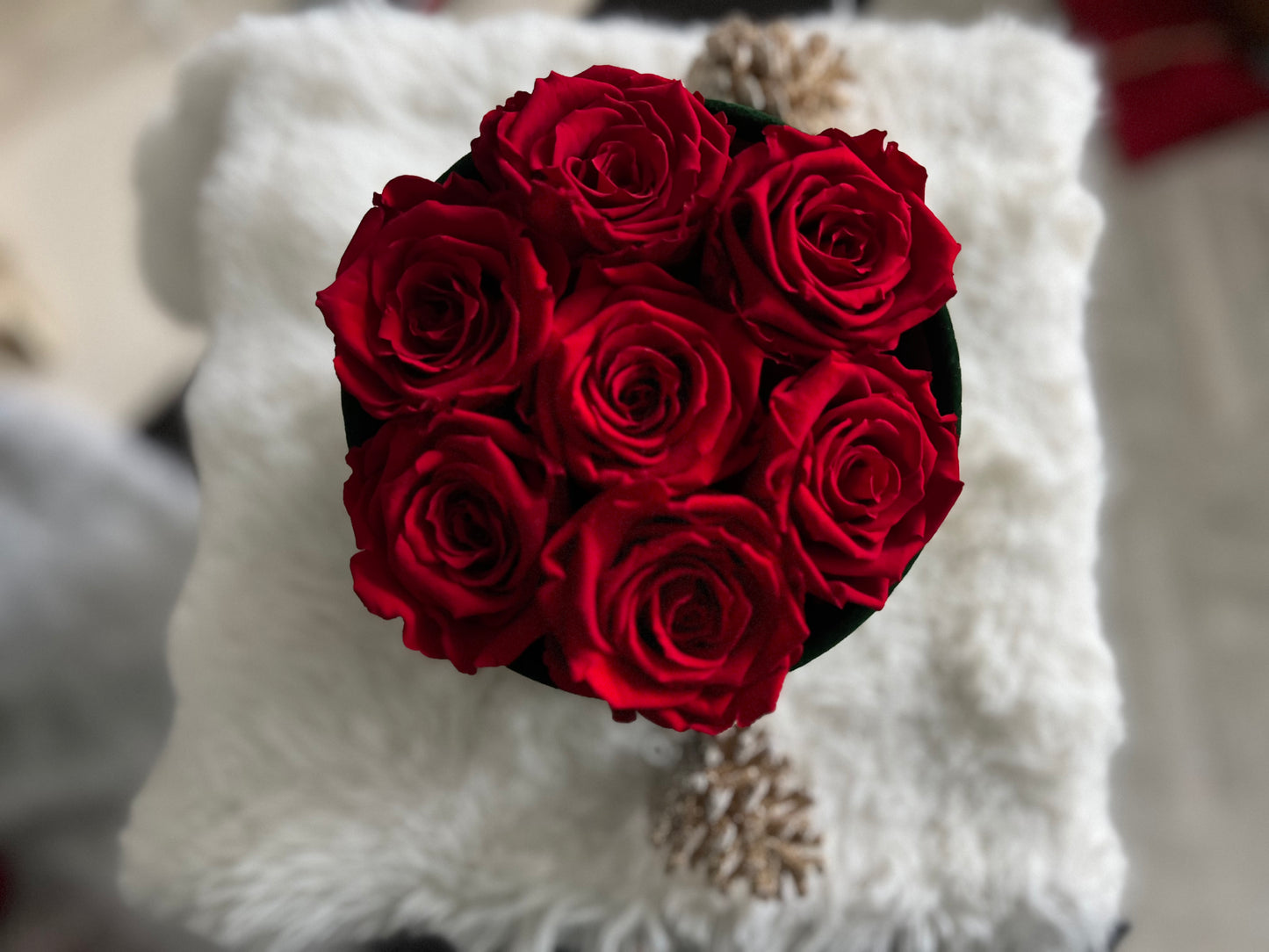 Holiday Swarovski® Crystals 6 RED XL Preserved Roses in Petite Emerald Round Velvet 5.5"  Box