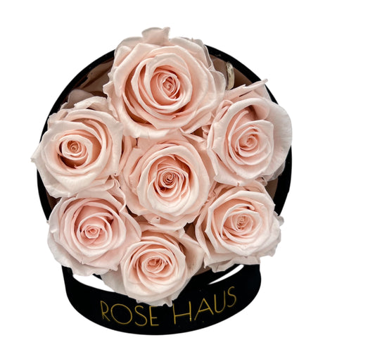 7 Pink XL Ecuadorian Preserved Rose in a Medium Round Black Box with Faux White Pearl Drape
