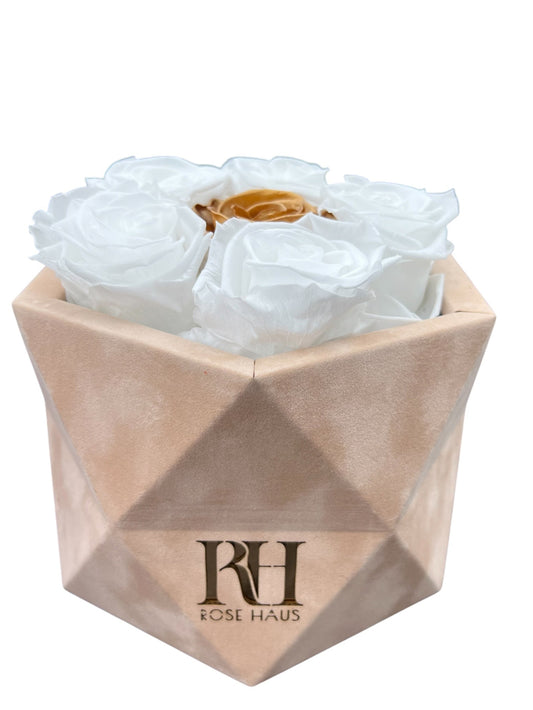 Prism 6 XL 24K Gold and White Ecuadorian Preserved Roses in 3D Prism Beige 6" x 7" Velvet Box