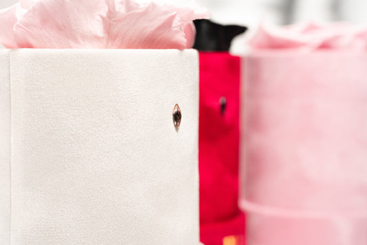 Signature Navette Crystal Single: Pink XXL Real Ecuadorian Preserved Rose in Mini 5" White Velvet Box