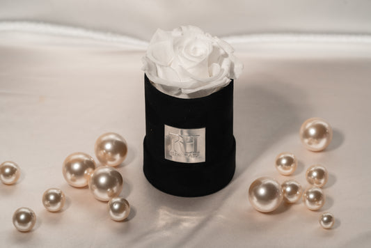 White Single XL Ecuadorian Preserved Rose in a 4" Black Velvet Round Mini Box