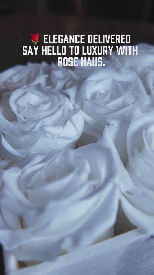 9 XL White Ecuadorian Preserved Roses in 6.5" Inch Ivory White Velvet Box w/ Swarovski Accent