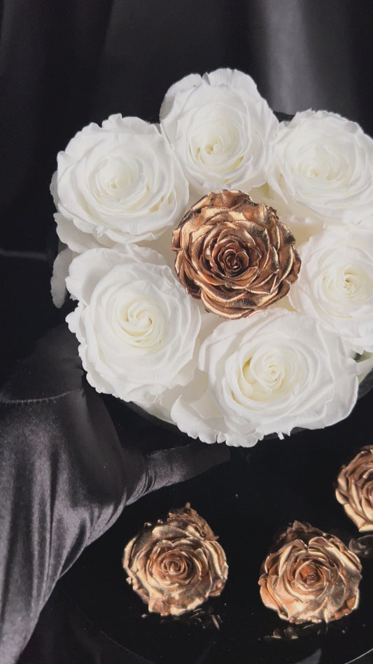 VOLUME Black Suede 12" Inch Tall Luxe Box White XXL Ecuadorian Roses 24K Gold Preserved